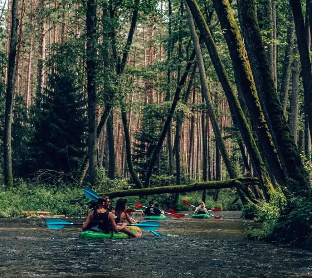 Zdjęcie Spływ kajakowy Marózka - idealna przygoda wśród natury i spokoju