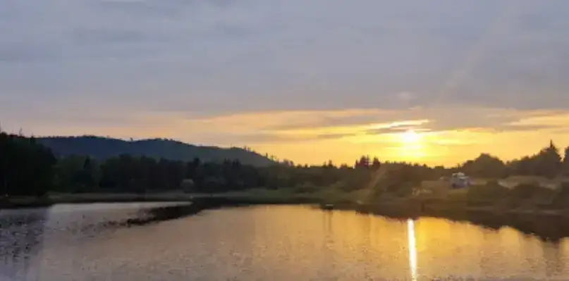 Zdjęcie Dzikowiec łowisko: Idealne miejsce na wędkowanie w Dębnie