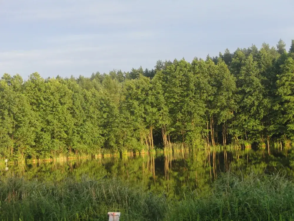 Zdjęcie Łowisko Rudzianek: Idealne miejsce na wędkowanie bez stresu