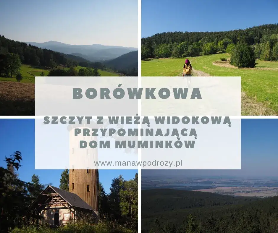 Zdjęcie Jak dojść na Borówkową Górę - łatwe trasy i przydatne wskazówki