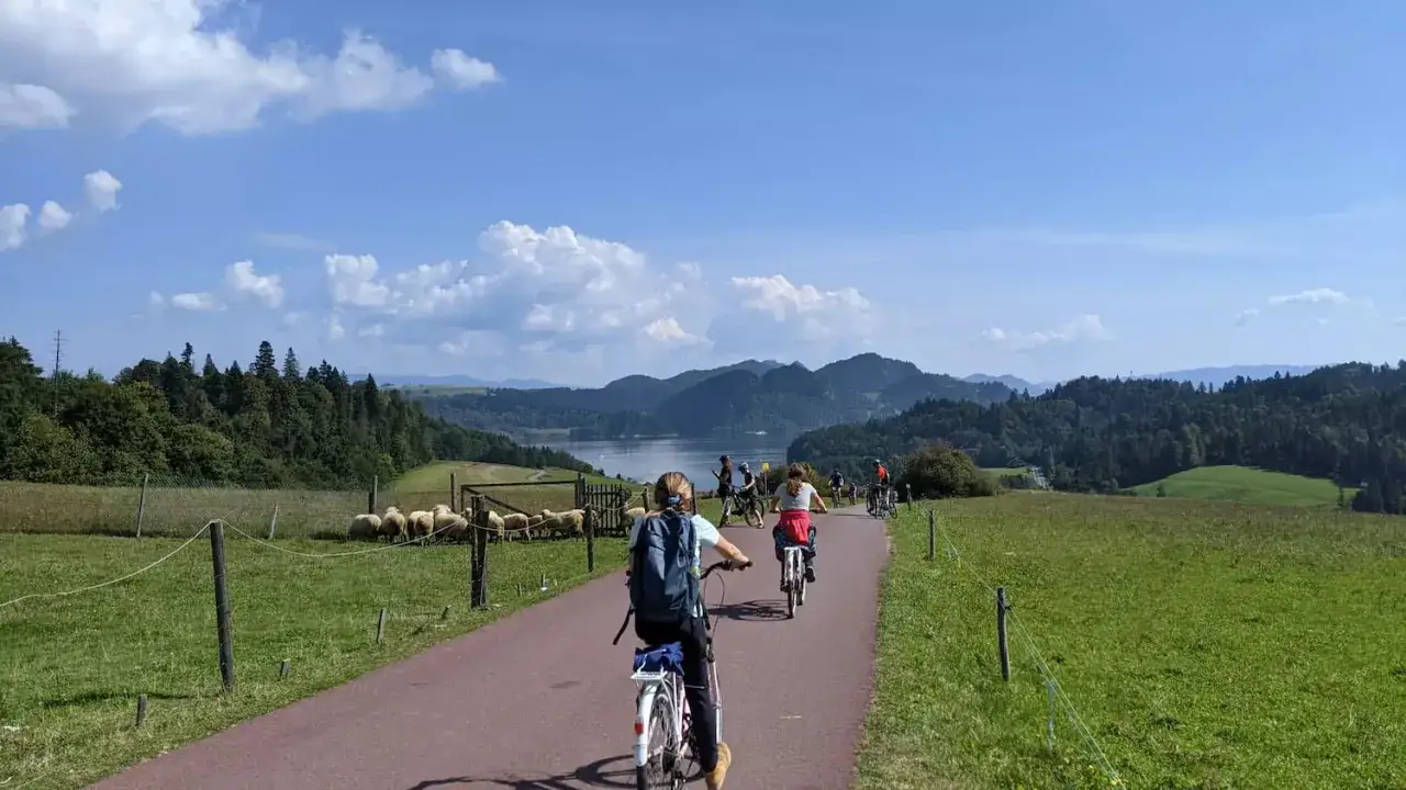 Zdjęcie Najpiękniejsza trasa rowerowa wokół jeziora czorsztyńskiego - odkryj widoki