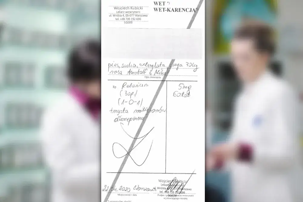 Zdjęcie Czy weterynarz może wypisać receptę dla człowieka? Sprawdź prawdę