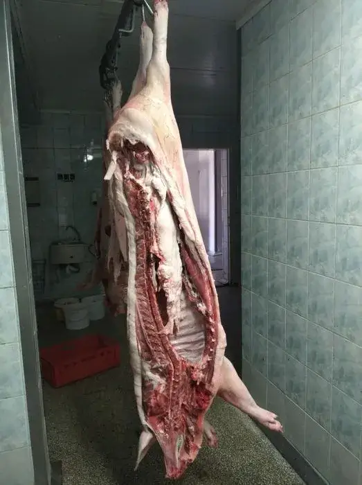 Zdjęcie Ile kosztuje półtusza wieprzowa? Ceny, które mogą cię zaskoczyć