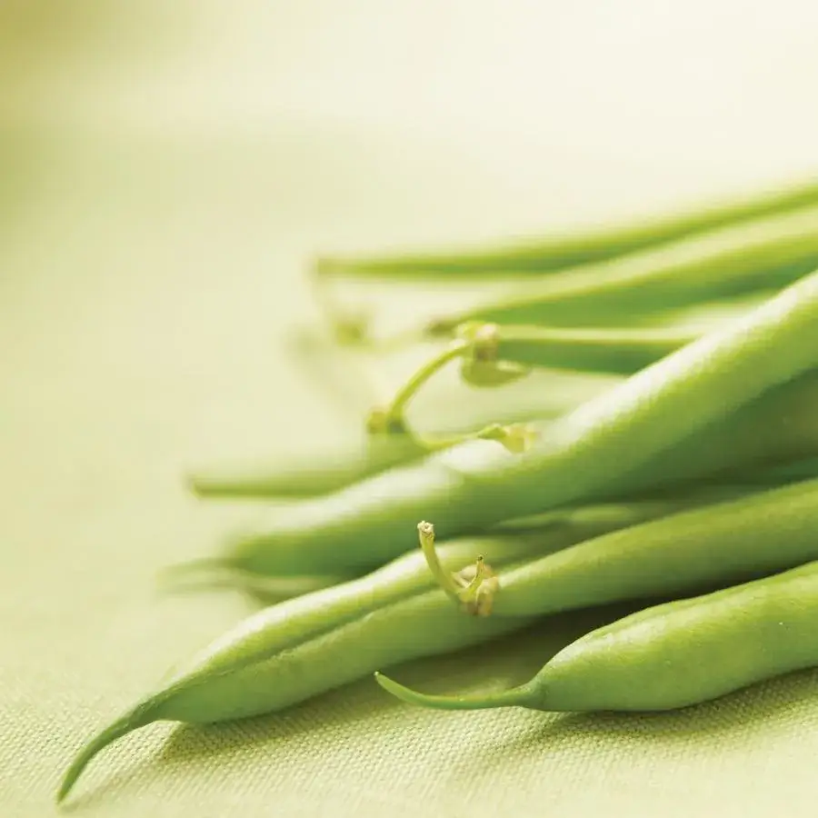Zdjęcie Recettes de salade de haricots verts simple pour des repas rapides et savoureux
