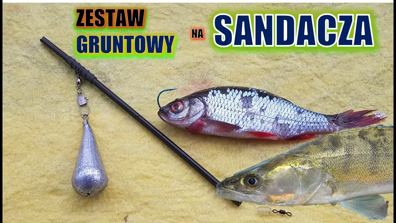 Zdjęcie Jakie haczyki na sandacza z gruntu zapewnią najlepsze wyniki?