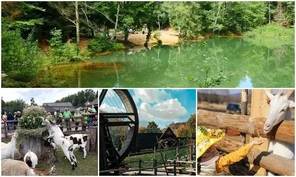 Zdjęcie Wycieczki jednodniowe z dziećmi w Dolnym Śląsku - najlepsze atrakcje dla rodzin