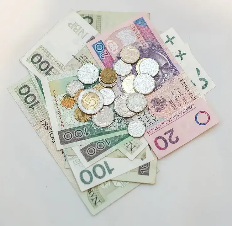 Zdjęcie Ile zarabia wychowawca na kolonii? Zaskakujące fakty o wynagrodzeniu