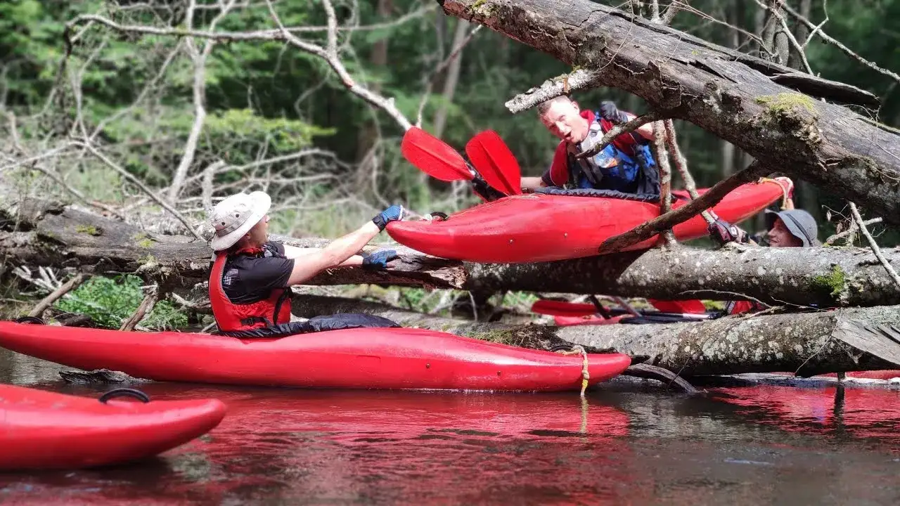 Zdjęcie Kajakarstwo zwałkowe: jak bezpiecznie pokonywać rzeki z przeszkodami
