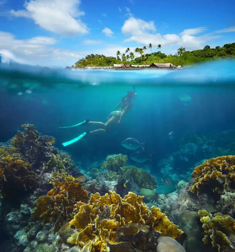 Zdjęcie Najpiękniejsze miejsca do nurkowania na świecie, które musisz odwiedzić