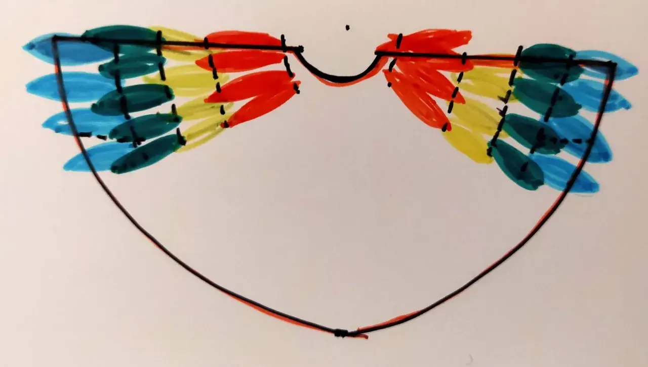 Zdjęcie Jak zrobić strój papugi: proste instrukcje i materiały do DIY