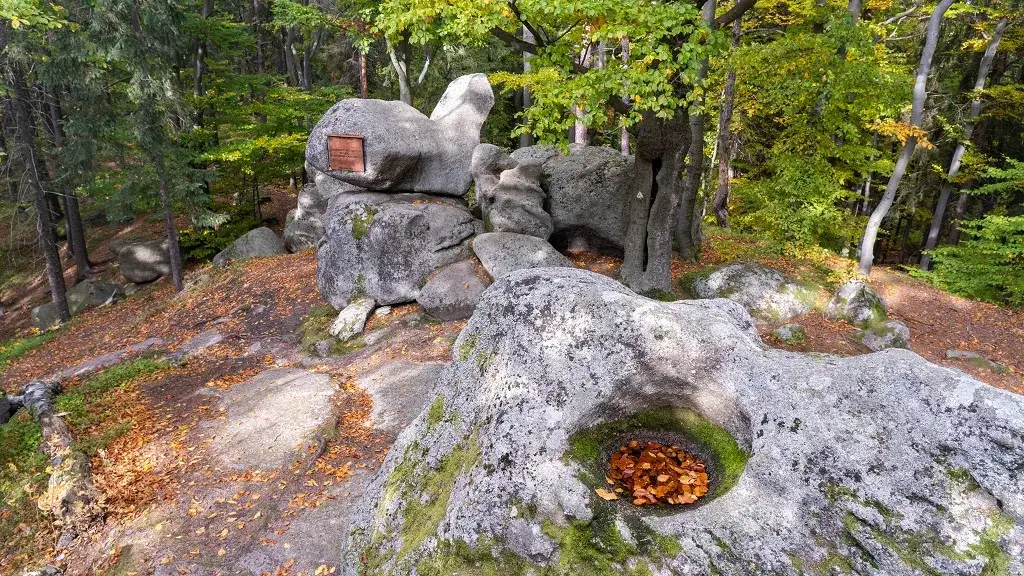 Zdjęcie Najlepsze atrakcje w Michałowicach – co warto zobaczyć i przeżyć