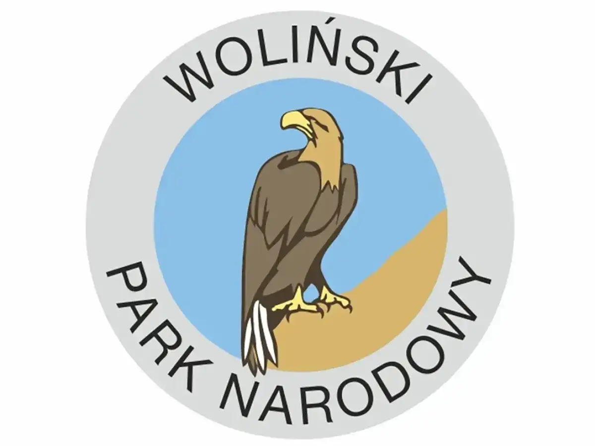 Zdjęcie Dlaczego bielik jest symbolem Wolińskiego Parku Narodowego i jego znaczenie