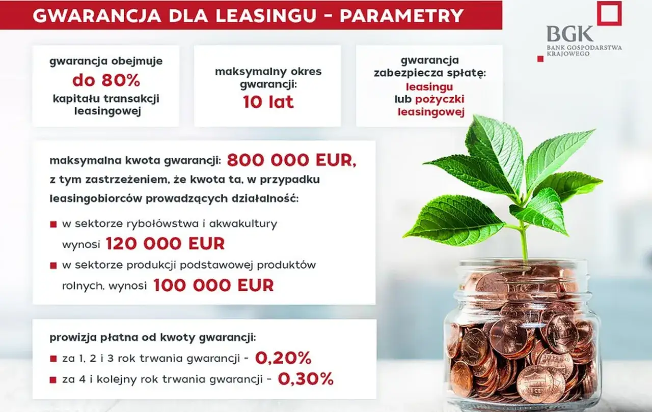 Zdjęcie Ile wynosi bankowy fundusz gwarancyjny w Polsce? Podstawowa kwota i szczególne przypadki gwarancji
