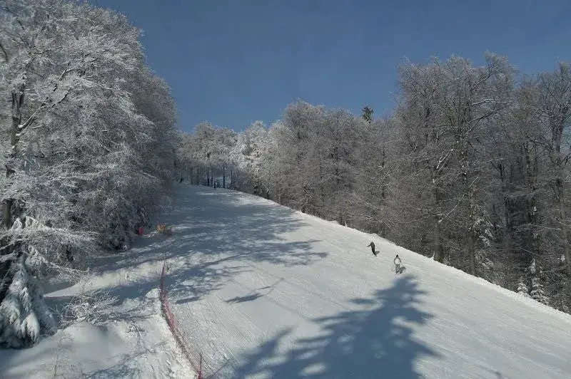 Zdjęcie Do kiedy są otwarte stoki narciarskie? Sprawdź terminy zamknięcia