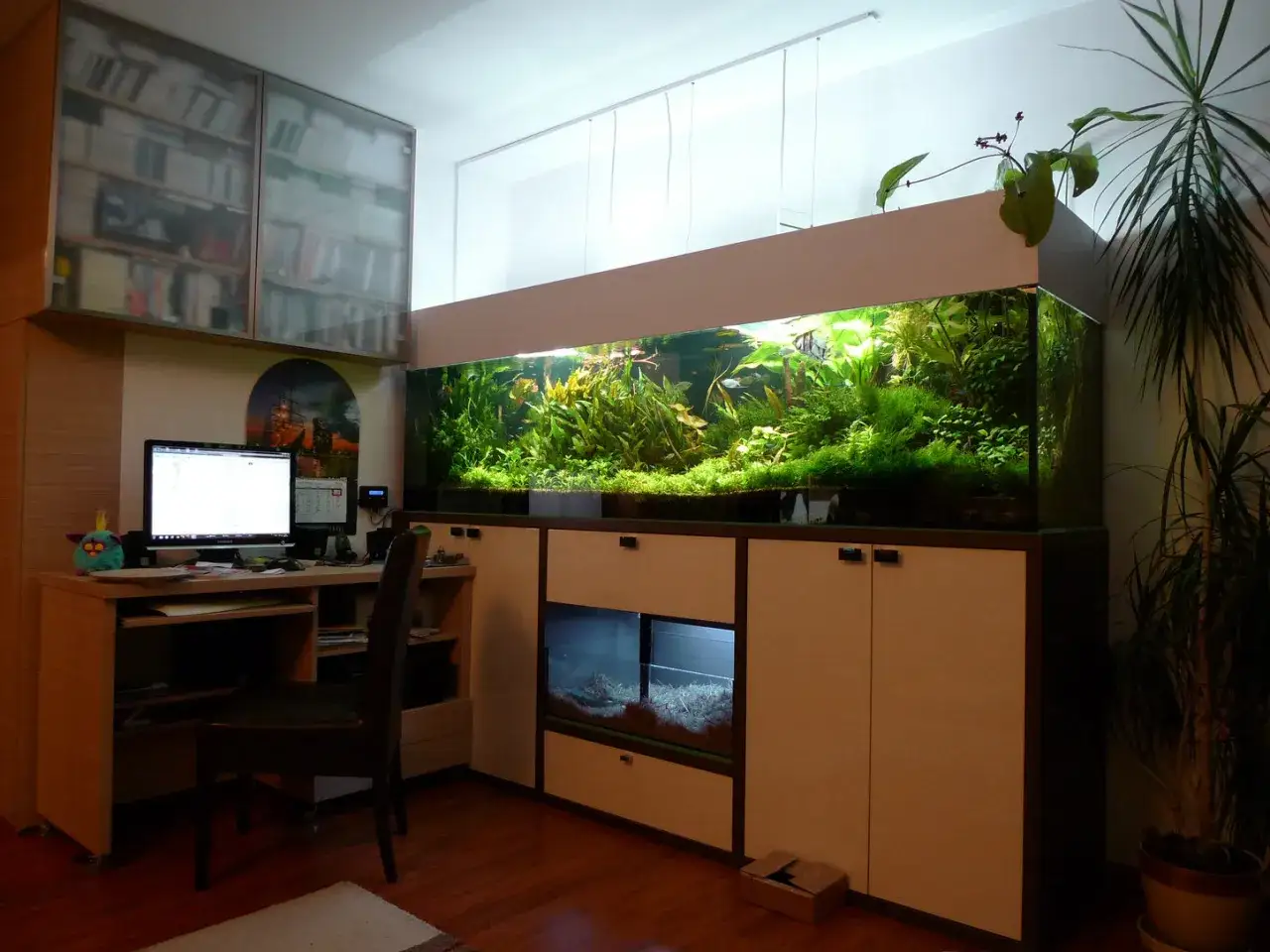 Zdjęcie Jakie oświetlenie do akwarium roślinnego 200l, aby uniknąć problemów z roślinami?