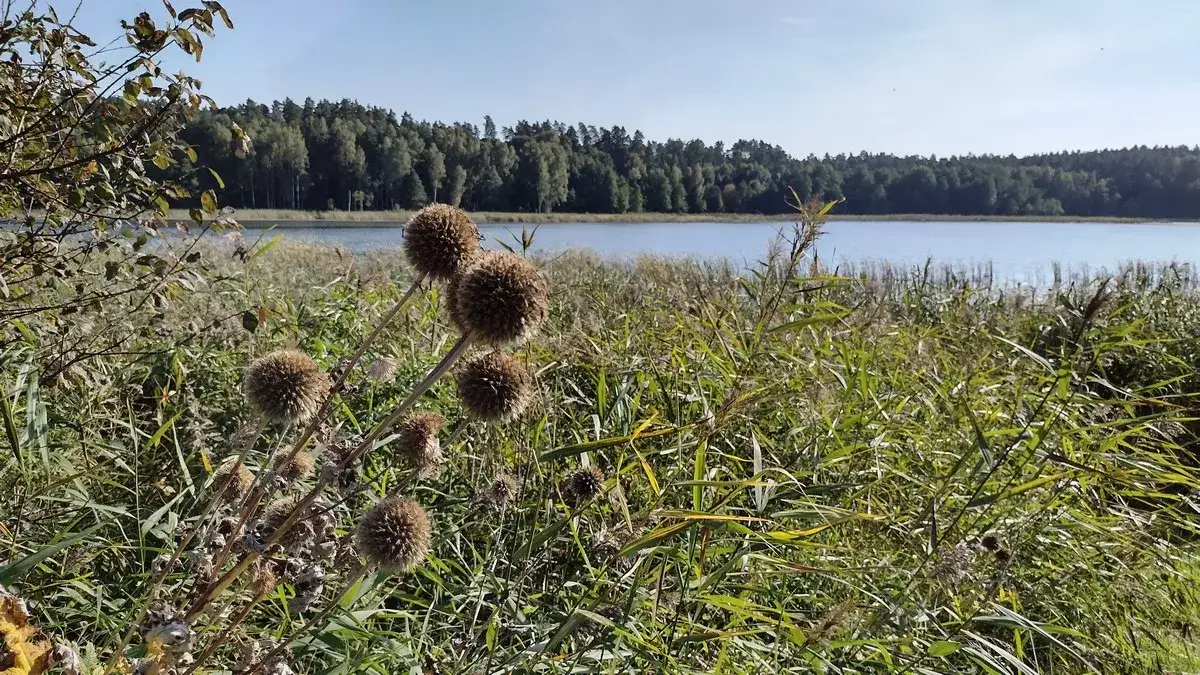 Zdjęcie Jezioro Kielarskie: Idealne miejsce na wędkowanie i relaks w naturze