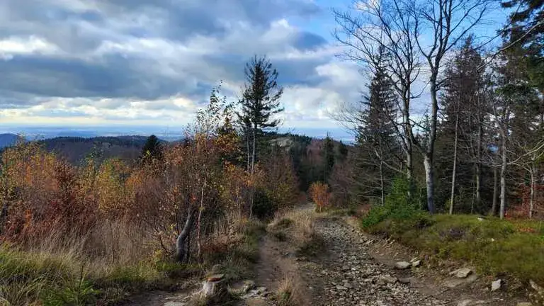 Zdjęcie Trasy rowerowe Brenna – odkryj trudne i łatwe szlaki dla każdego