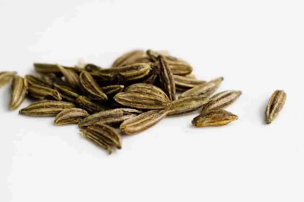 Zdjęcie Gdzie kupić kumin przyprawa? Sprawdź najlepsze miejsca i ceny