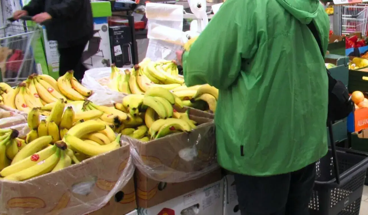 Zdjęcie Kiedy jest sezon na banany? Odkryj najlepszy czas na zakupy