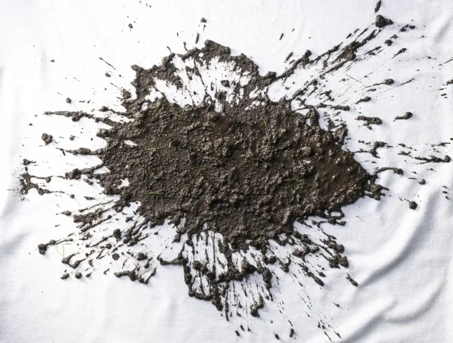 Zdjęcie Sen o błocie znaczenie i symbolika: sprawdź co naprawdę zwiastuje