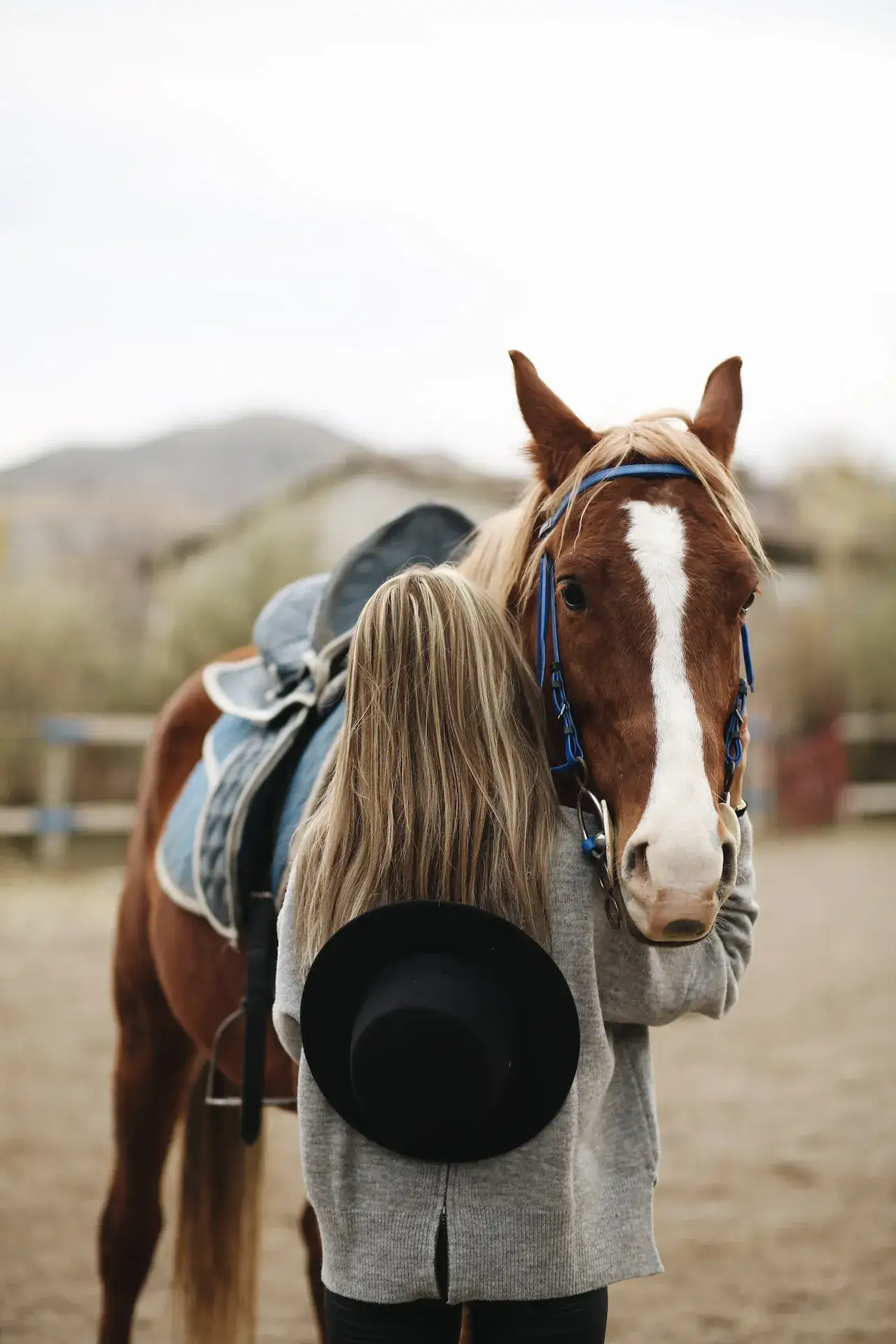 Zdjęcie Jak długo żyje koń? Odkryj czynniki wpływające na długość życia