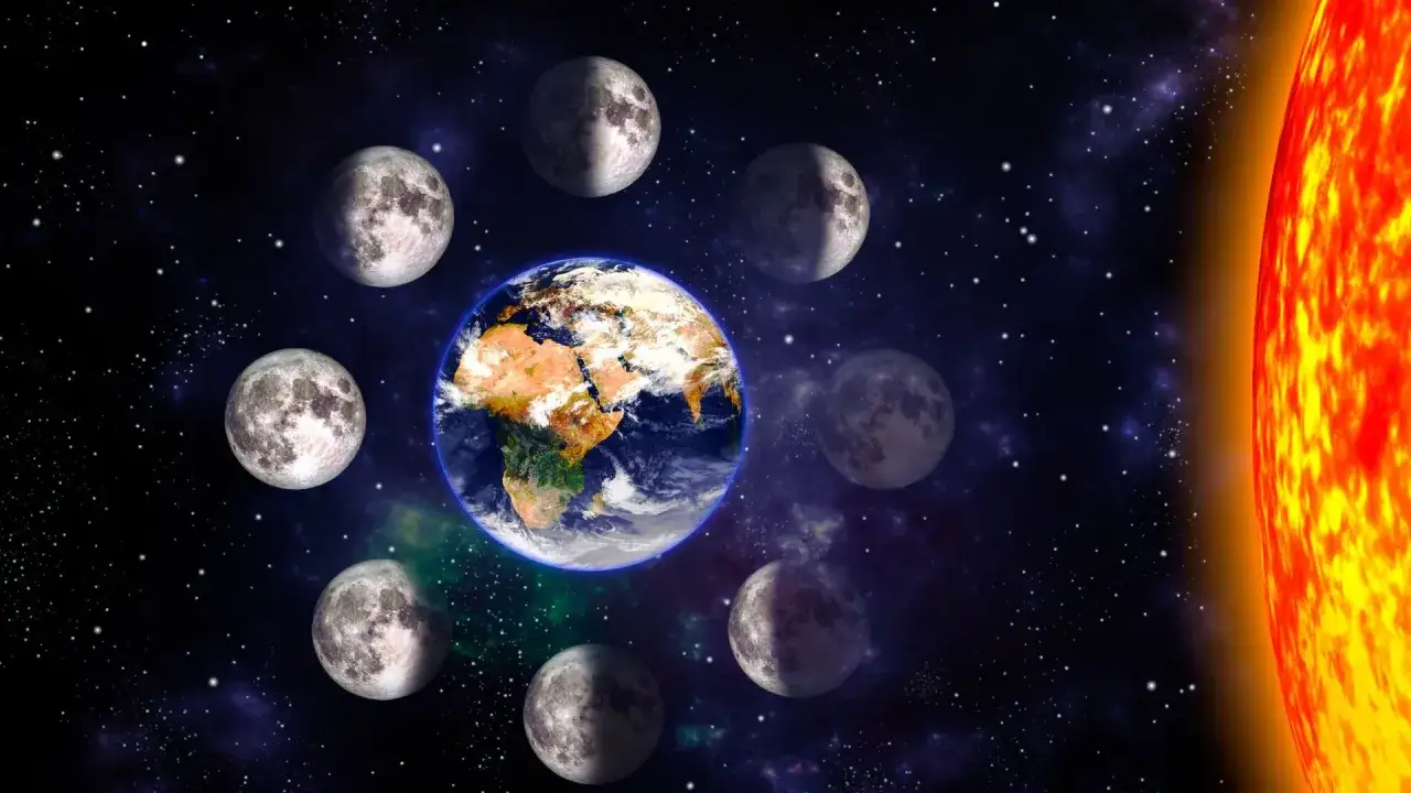 Zdjęcie Odrobaczanie w jakiej fazie księżyca - najlepsze momenty dla skuteczności