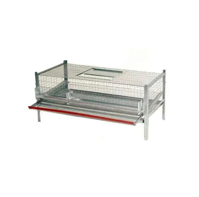 Zdjęcie Jak zrobić klatki dla kur niosek, aby zapewnić im komfort i bezpieczeństwo