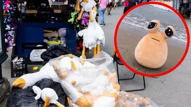 Zdjęcie Ile kosztuje pluszowa gęś? Ceny, które mogą cię zaskoczyć