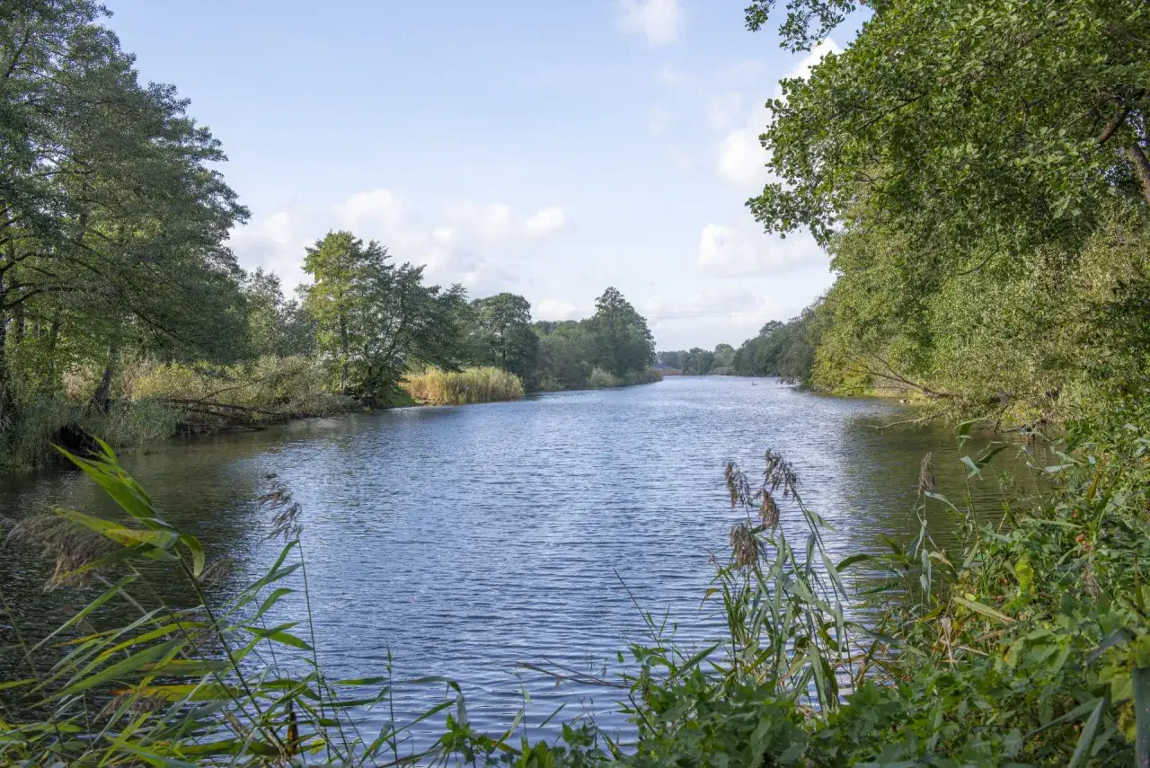 Zdjęcie Jezioro Kiełpińskie - malowniczy rezerwat przyrody na obrzeżach Warszawy