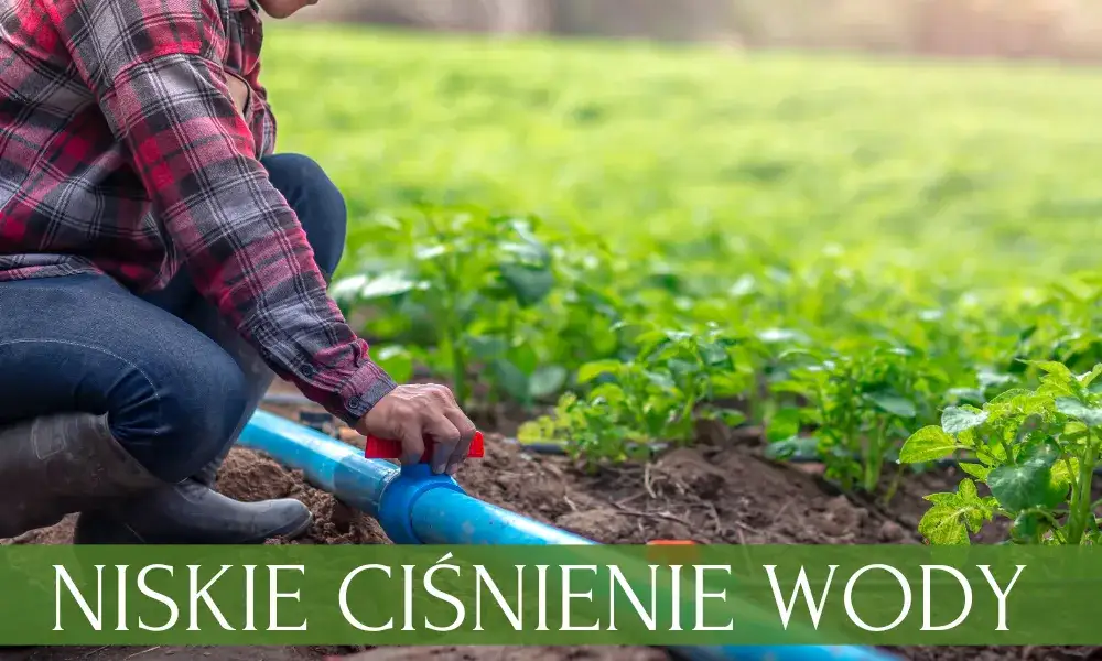 Zdjęcie Niskie ciśnienie w zraszaczach? Rozwiązanie problemu krok po kroku