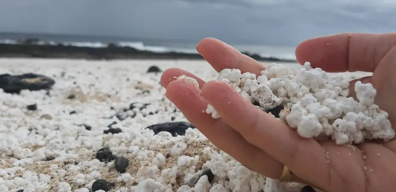 Zdjęcie Czego nie można wywozić z wysp kanaryjskich - uniknij problemów prawnych