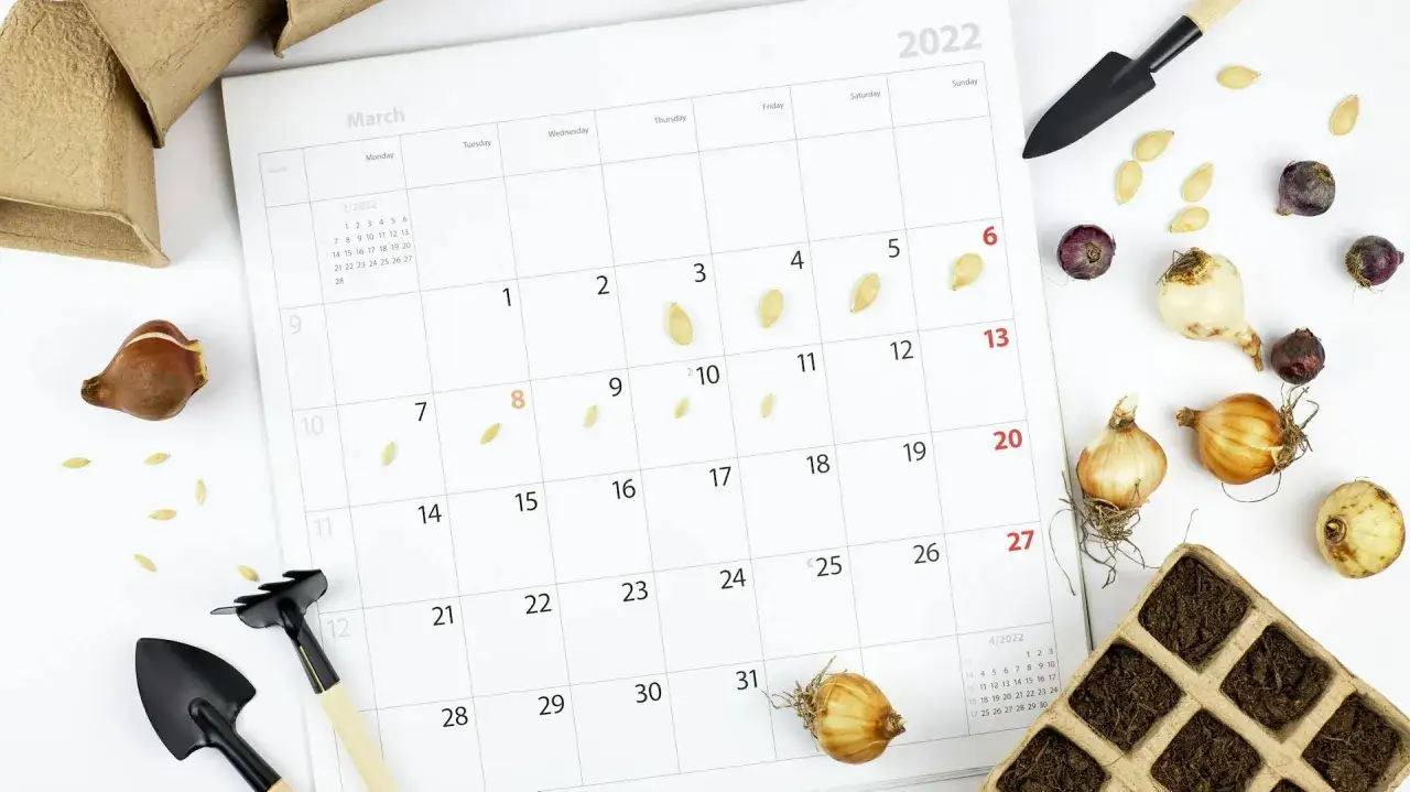 Zdjęcie Kiedy siać warzywa w ogrodzie? Najlepsze terminy i porady ogrodnicze