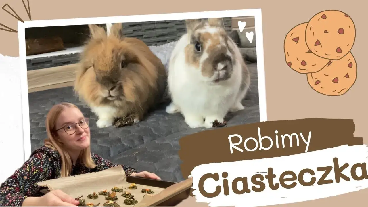 Zdjęcie Jak zrobić ciastka dla królika, które zachwycą Twojego pupila
