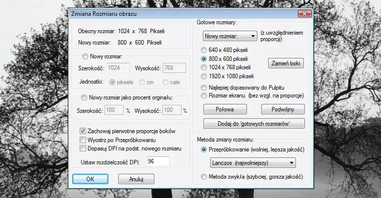 Zdjęcie Jak pobrać spolszczenie IrfanView 4.67 i cieszyć się pełną funkcjonalnością
