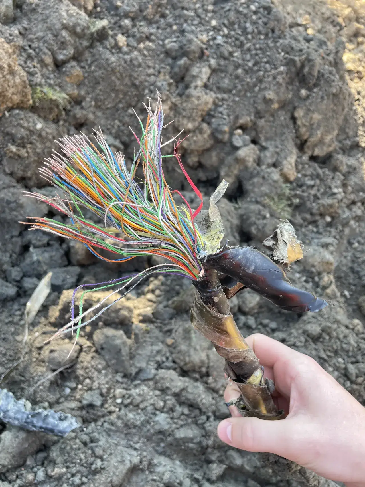 Zdjęcie Jakie kary grożą za przerwanie kabla telefonicznego i ich skutki