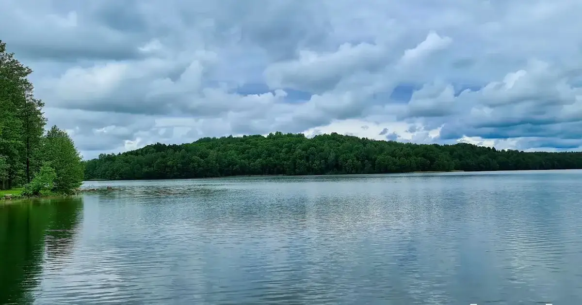 Zdjęcie Jezioro Szczawińskie - tajemnice przyrody i ochrona ekosystemu