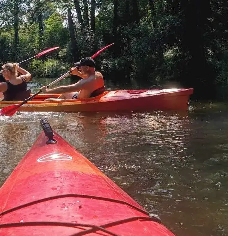 Zdjęcie Spływ kajakowy Rospuda - najlepsze trasy i porady dla początkujących