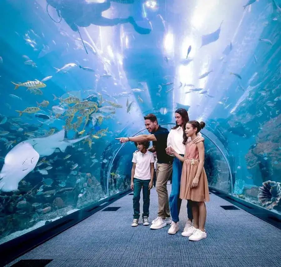 Zdjęcie Oceanarium w Dubaju - atrakcje, ceny biletów i godziny otwarcia