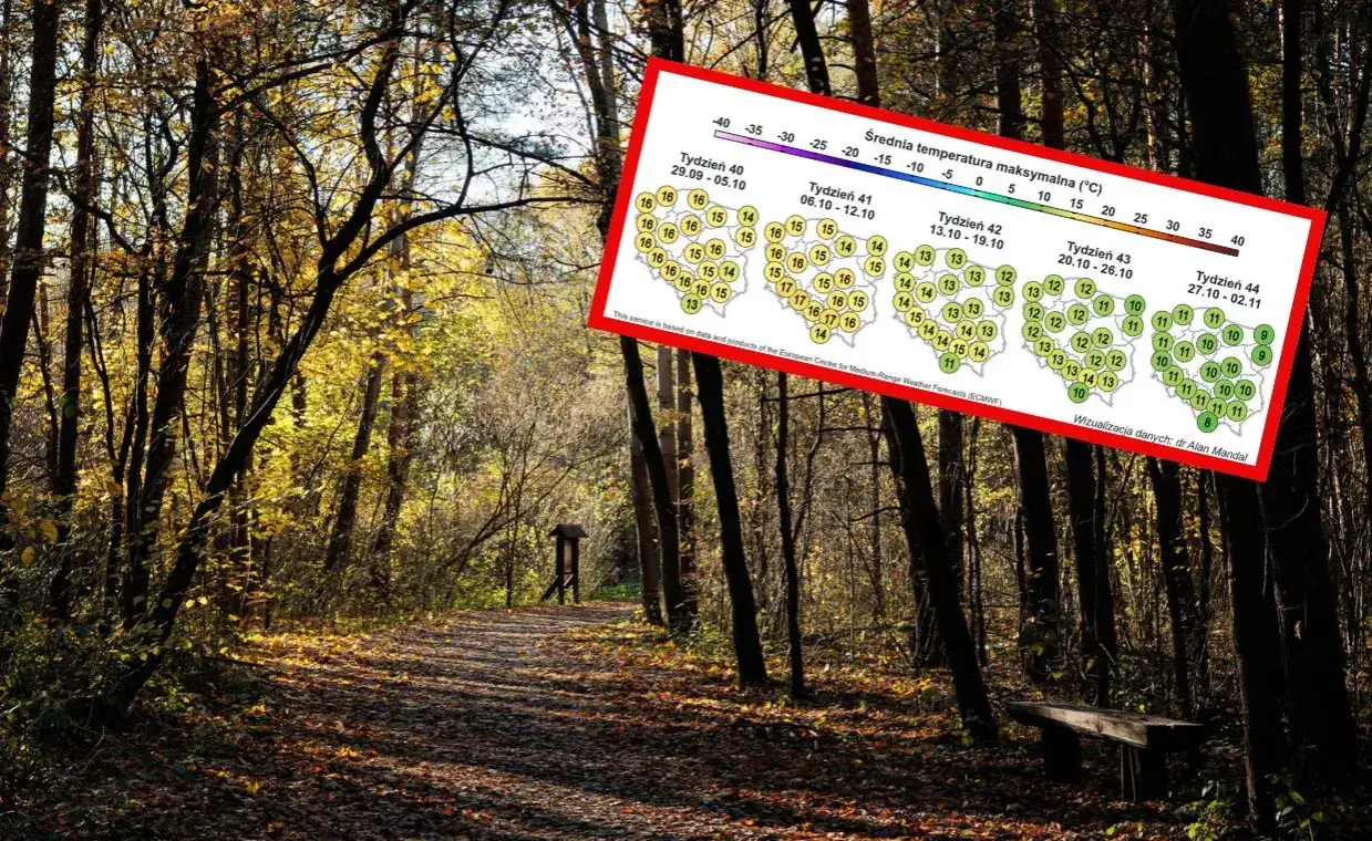 Zdjęcie Ile jest stopni w Radomiu? Sprawdź aktualną temperaturę teraz