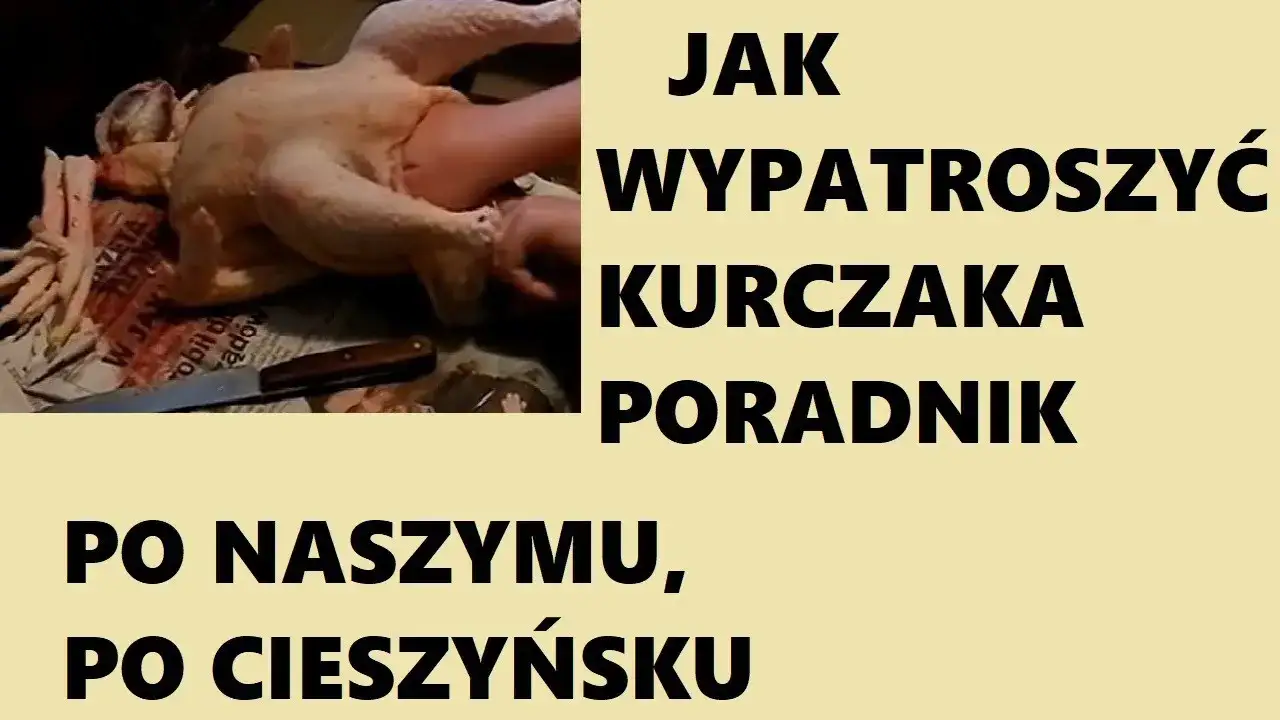 Zdjęcie Jak wypatroszyć kurczaka: proste kroki, aby uniknąć problemów