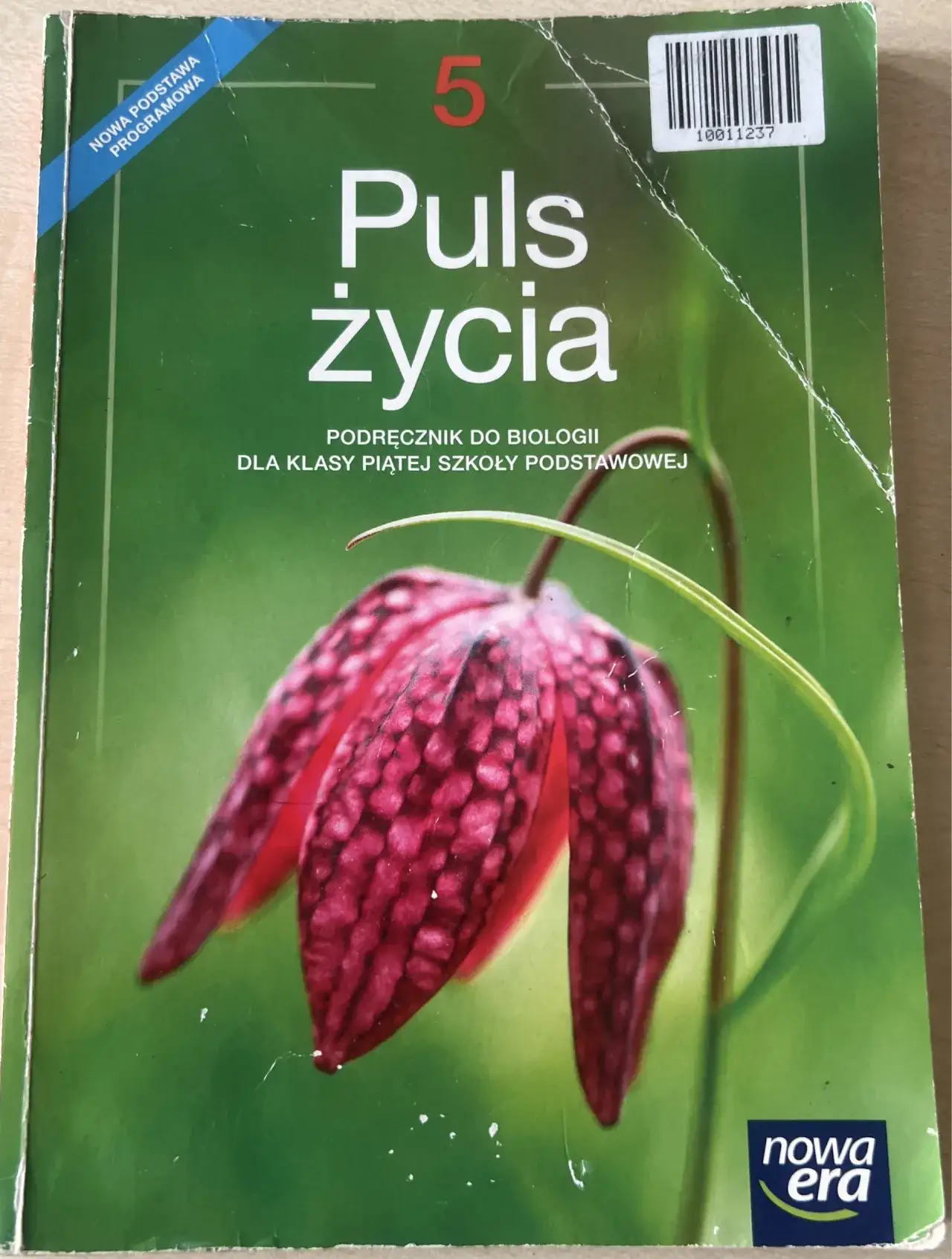 Zdjęcie Gdzie wypożyczyć podręczniki do biologii dla 5 klasy bez zbędnych kosztów
