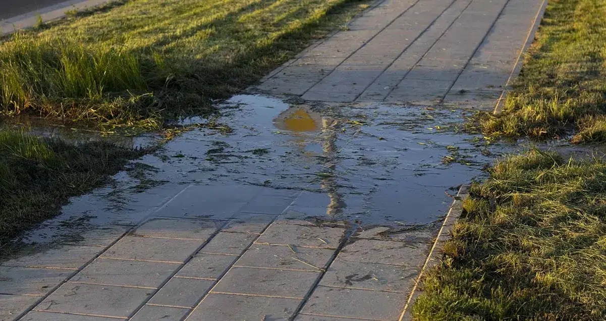 Zdjęcie Jaki spadek na kostce brukowej, aby uniknąć problemów z wodą?