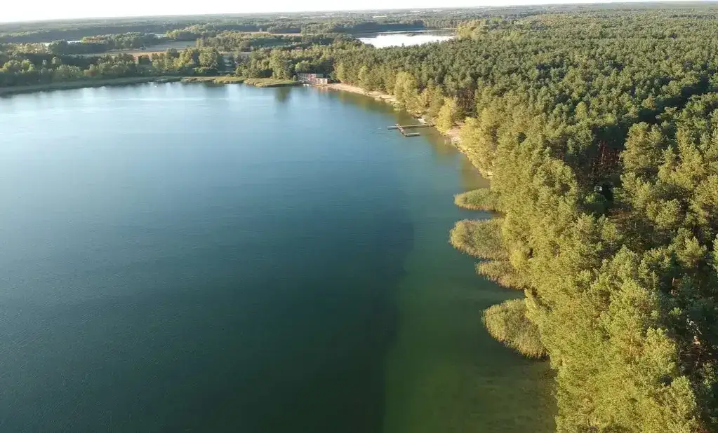 Zdjęcie Jezioro Czarne Sosnowickie: piękno natury i rekreacja w ciszy