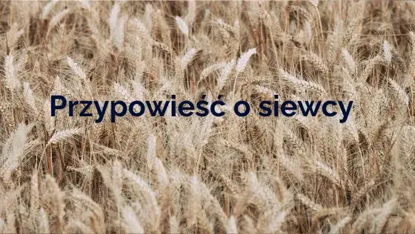 Zdjęcie Przypowieść o siewcy scenariusz lekcji: skuteczne metody nauczania