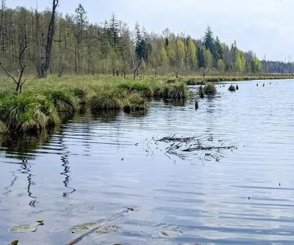 Zdjęcie Rezerwat przyrody Mazury - Odkryj niezwykłe bogactwo natury