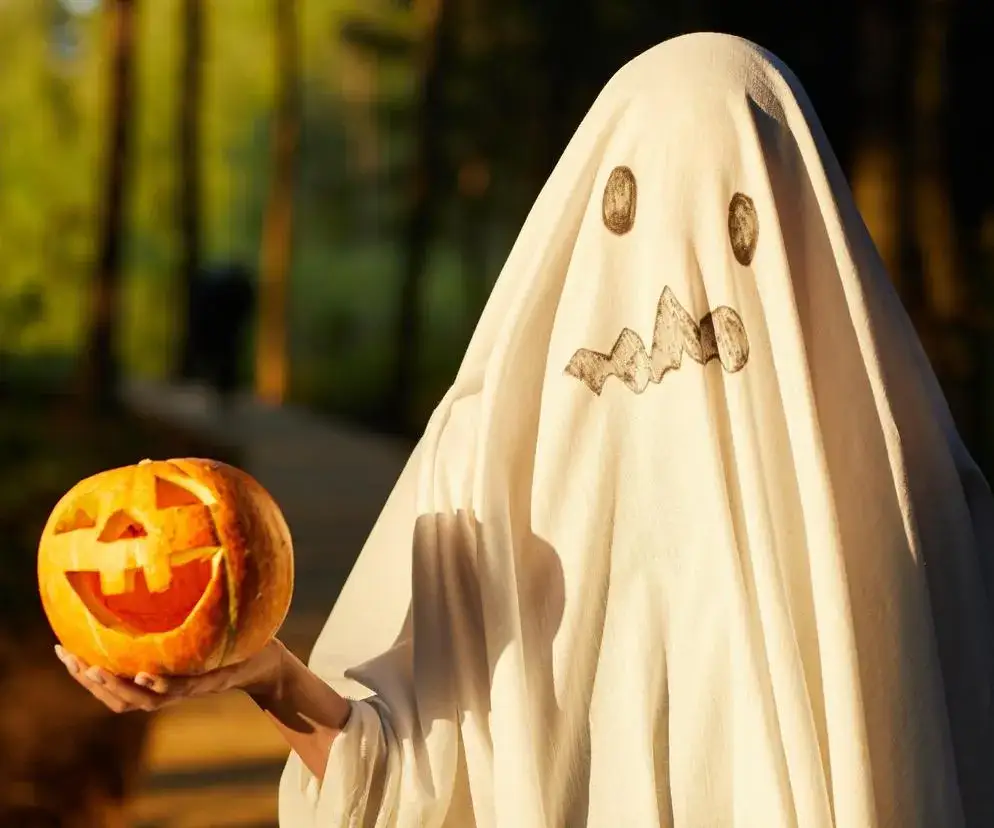 Zdjęcie Jak zrobić kreatywne stroje na Halloween dla dorosłych bez wydawania fortuny