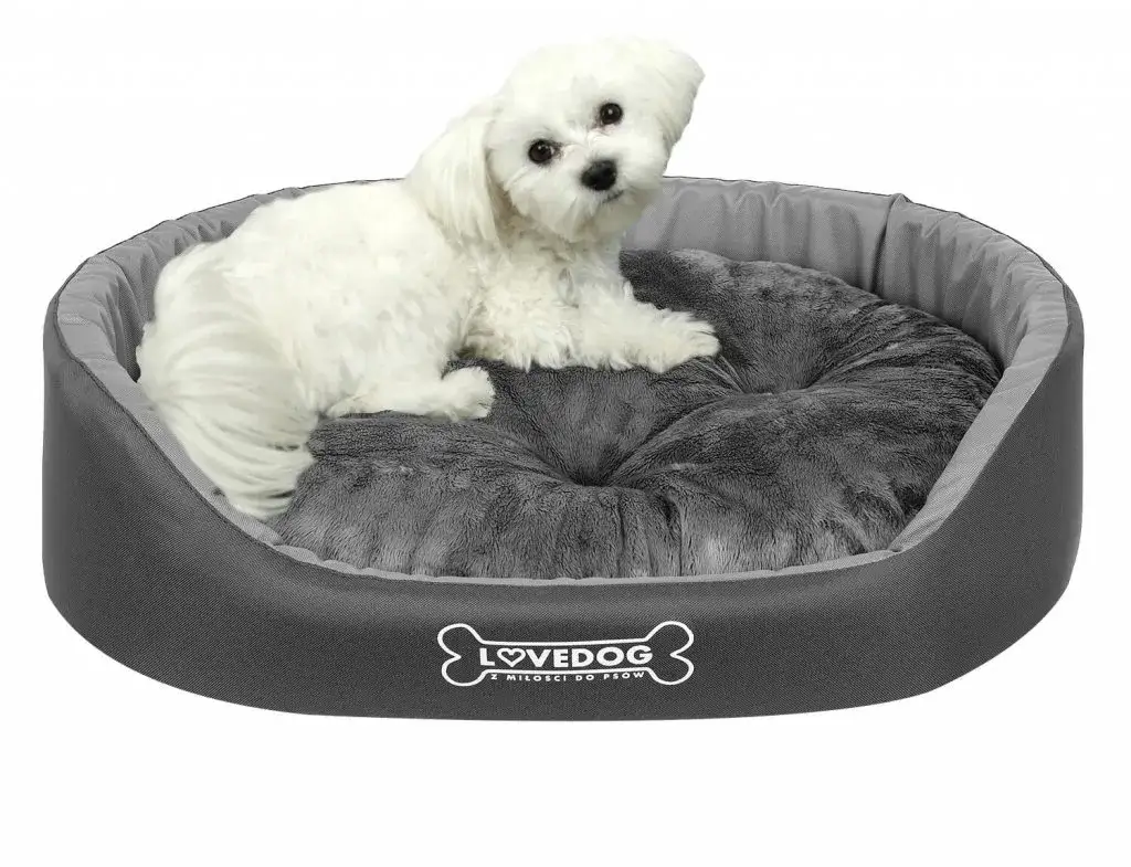 Zdjęcie Legowisko dla psa które można prać – zdrowe i łatwe w utrzymaniu