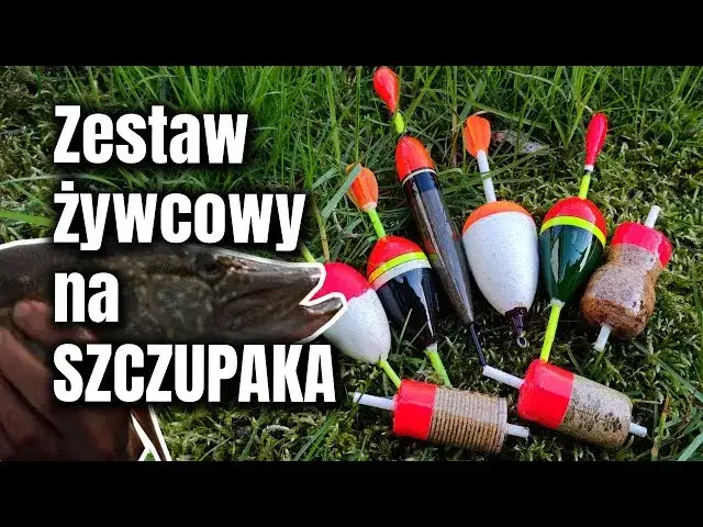 Zdjęcie Jaki grunt na żywca? Odkryj najlepsze ustawienia na szczupaka