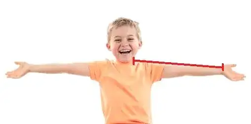 Zdjęcie Jaki rozmiar skrzypiec wybrać, aby uniknąć błędów przy zakupie?