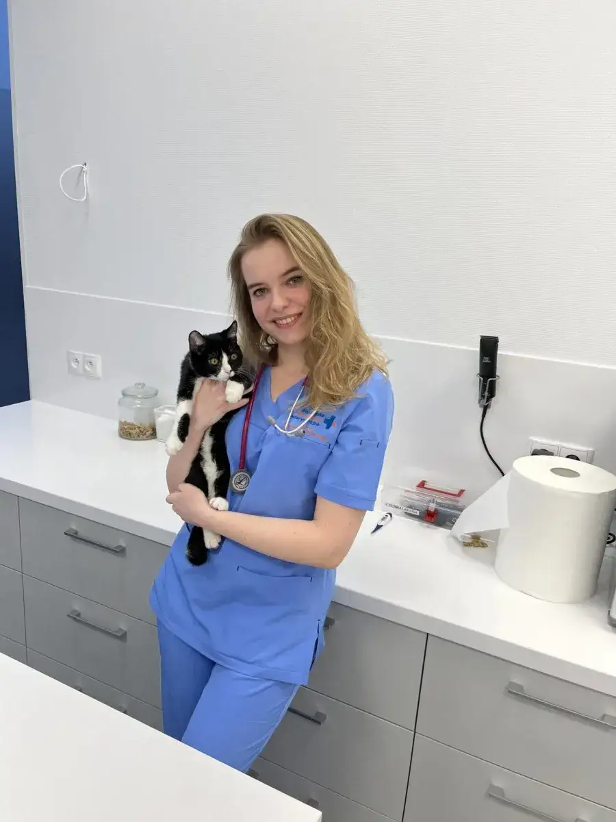 Zdjęcie Szczeniak po szczepieniu objawy: co jest normalne, a co nie?